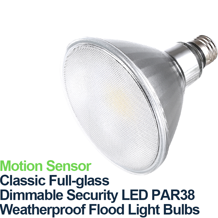 Par38 Motion Activated Security Lights A B2c Manufacturer